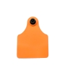 100x75mm RFID animal ear tag